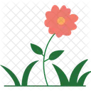 Bezaubernde Blume  Symbol