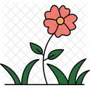 Bezaubernde Blume  Symbol