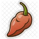 Chili Spicy Hot Icon