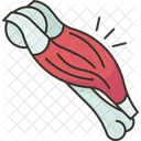 Bicep  Icon