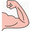 Biceps Arm Muscle Icon