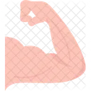 Biceps  Icon