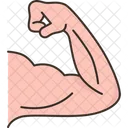 Biceps  Icon