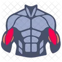 Biceps muscle  Icon