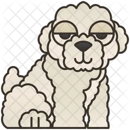 Bichon  Icon