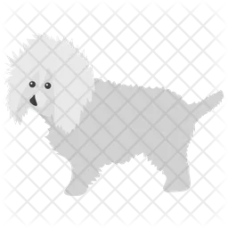 Bichon frisado  Ícone