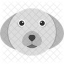 Bichon Frise Animal Cute Icon