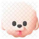 Bichon Frise Chien Avatar Icône