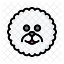 Bichon frise  Icon