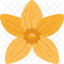 Bidens Flower Blossom Icon