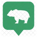 Oso Animales Mapa Icono