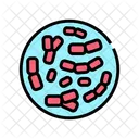 Bifidobacterium Bacteria Probiotic Icon
