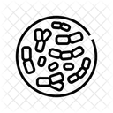 Bifidobacterium Icon
