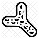 Bifidobacterium  Icon