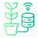 Big data  Icon