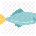 Fish Water Animal Icon