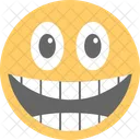 Emoticon Smiley Face Icon