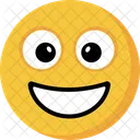 Big grin  Icon