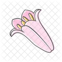 Big Bud Flower Icon