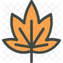 Big Leaf Maple  Icon