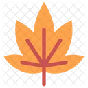 Big Leaf Maple  Icon