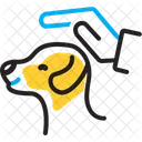 Big pat  Icon
