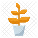 Furniture Home Living Furnishing Icon