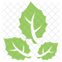 Big tooth Aspen  Icon
