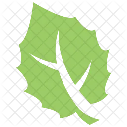 Big tooth Aspen Leaf  Icon