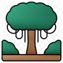 Big Tree Nature Tree Icon