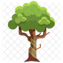 Big Tree  Icône