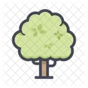 Big Tree Tree Plant Icon