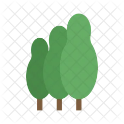 Big Tree  Icon