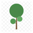 Big Tree  Icon