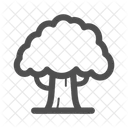 Big Tree Tree Plant Icon