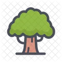 Big Tree Tree Plant Icon