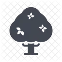Big Tree Tree Plant Icon