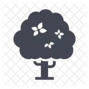 Big Tree Tree Plant Icon