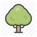 Big Tree Tree Plant Icon