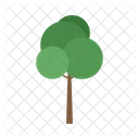 Plant Nature Ecology Icon