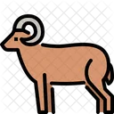 Bighorn Sheep  Icon