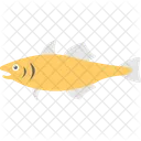 Bigmouth Buffalo Fish Icon