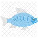 Bigmouth Buffalo Fish Icon