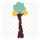 Bigtooth Aspen Tree Forest Icon