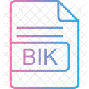 Bik File Format 아이콘