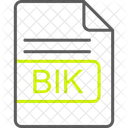 Bik File Format 아이콘