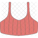 Bikini Swimsuit Fashion Icon