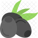 Bilberries  Icon