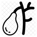 Bile Duct  Icon