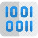 Binary Code  Icon